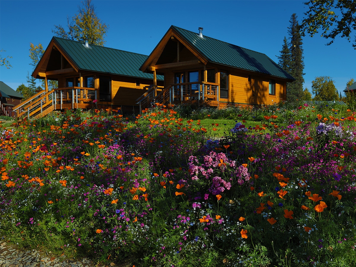 Two private cabins with a blue sky and wild flowers growing in the foreground.