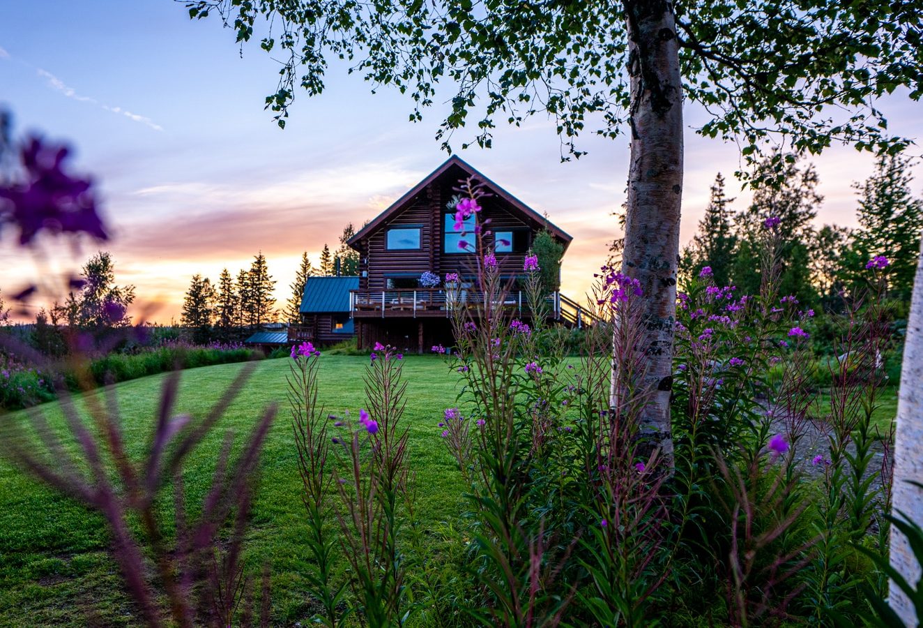 Tordrillo Mountain Lodge alaska at sunrise fireweed