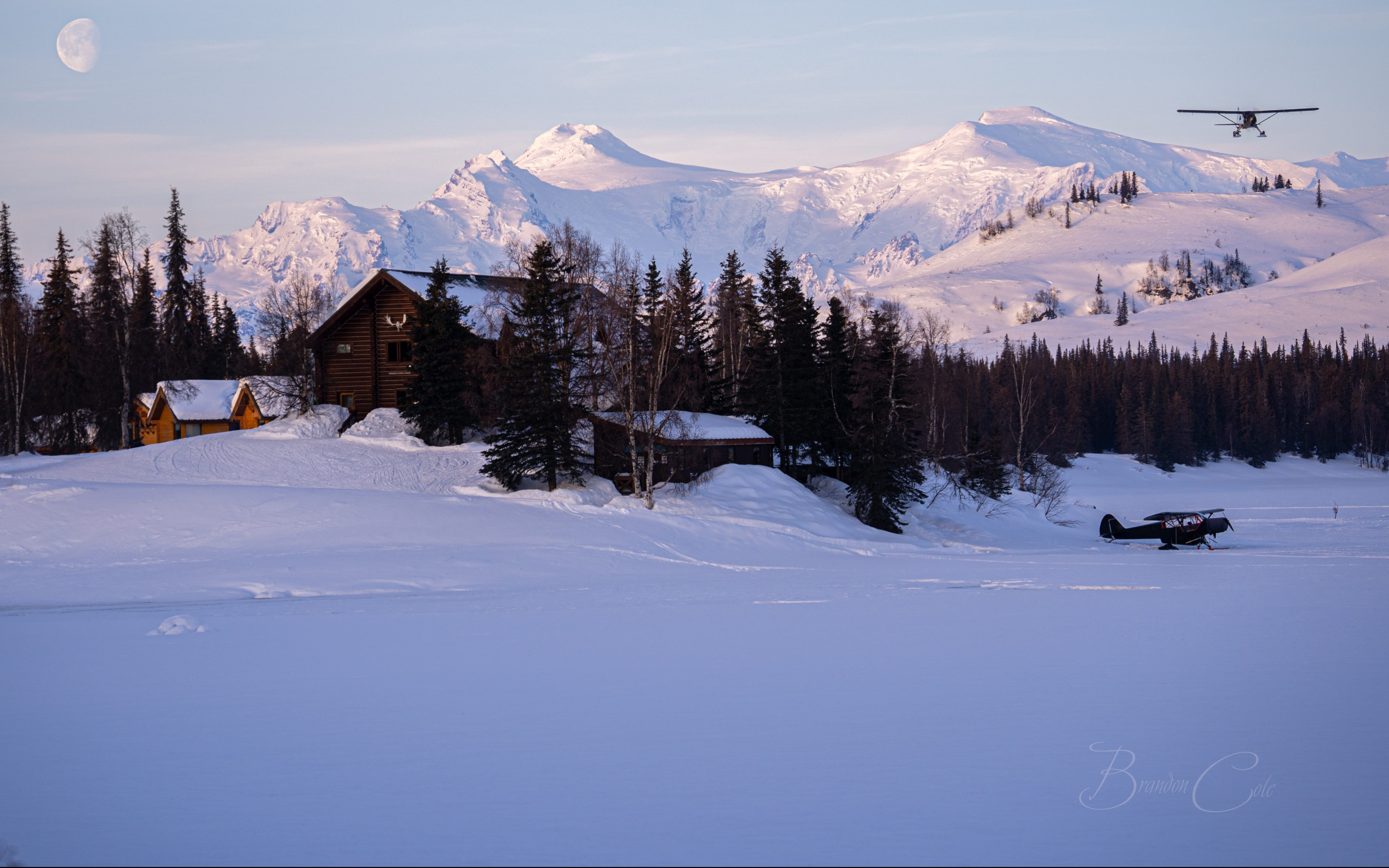 beaver flying over the lodge during the winter.