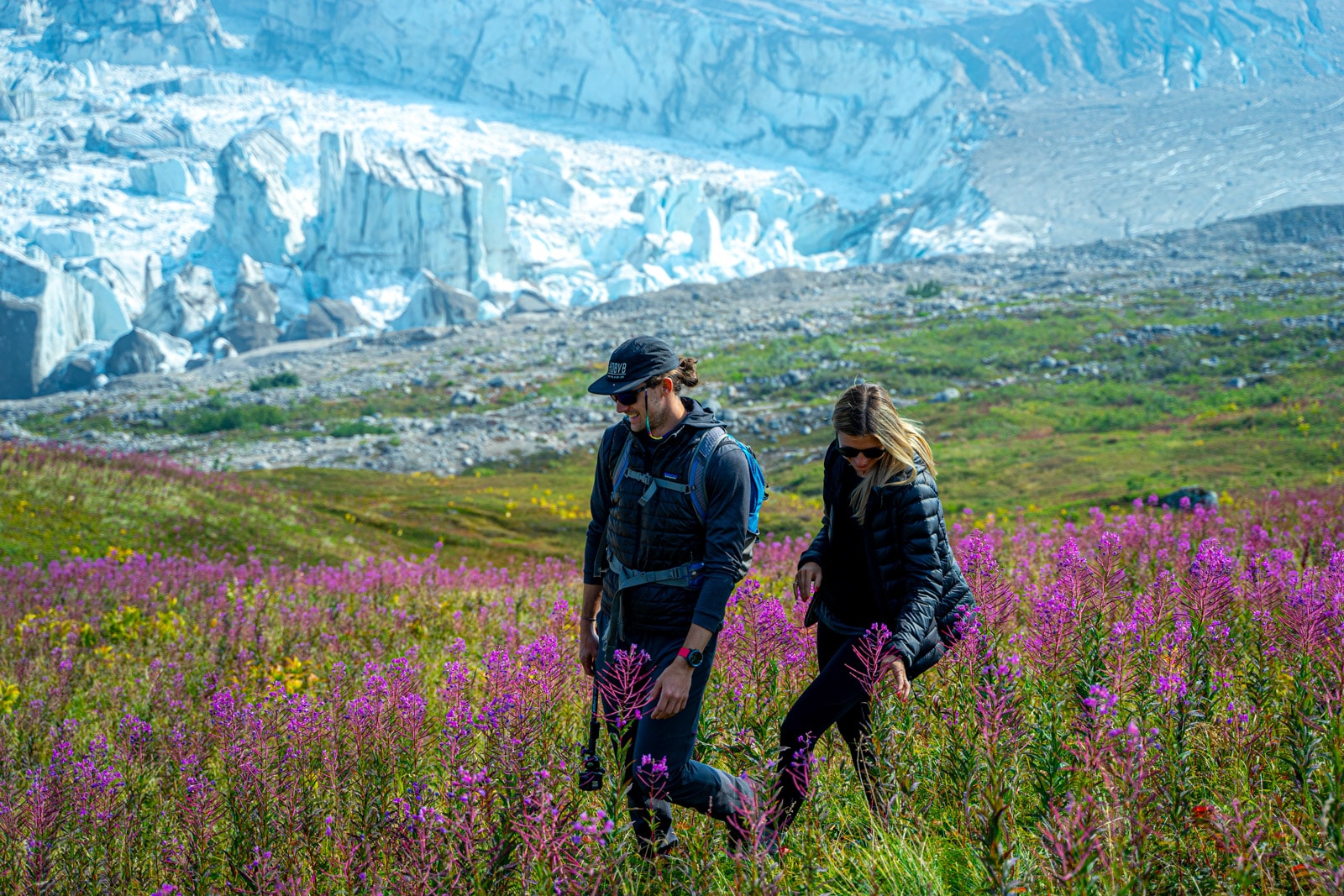 a couple walks through a field of fireweed above the triumvirate glacier in the tordrillo mountains