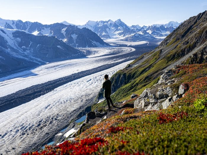 a women takes in the view while hiking above the capps glacier in the tordrillo mountains