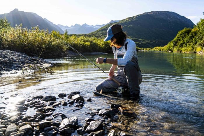 a person catching a rainbow trout in the tordrillo mountains