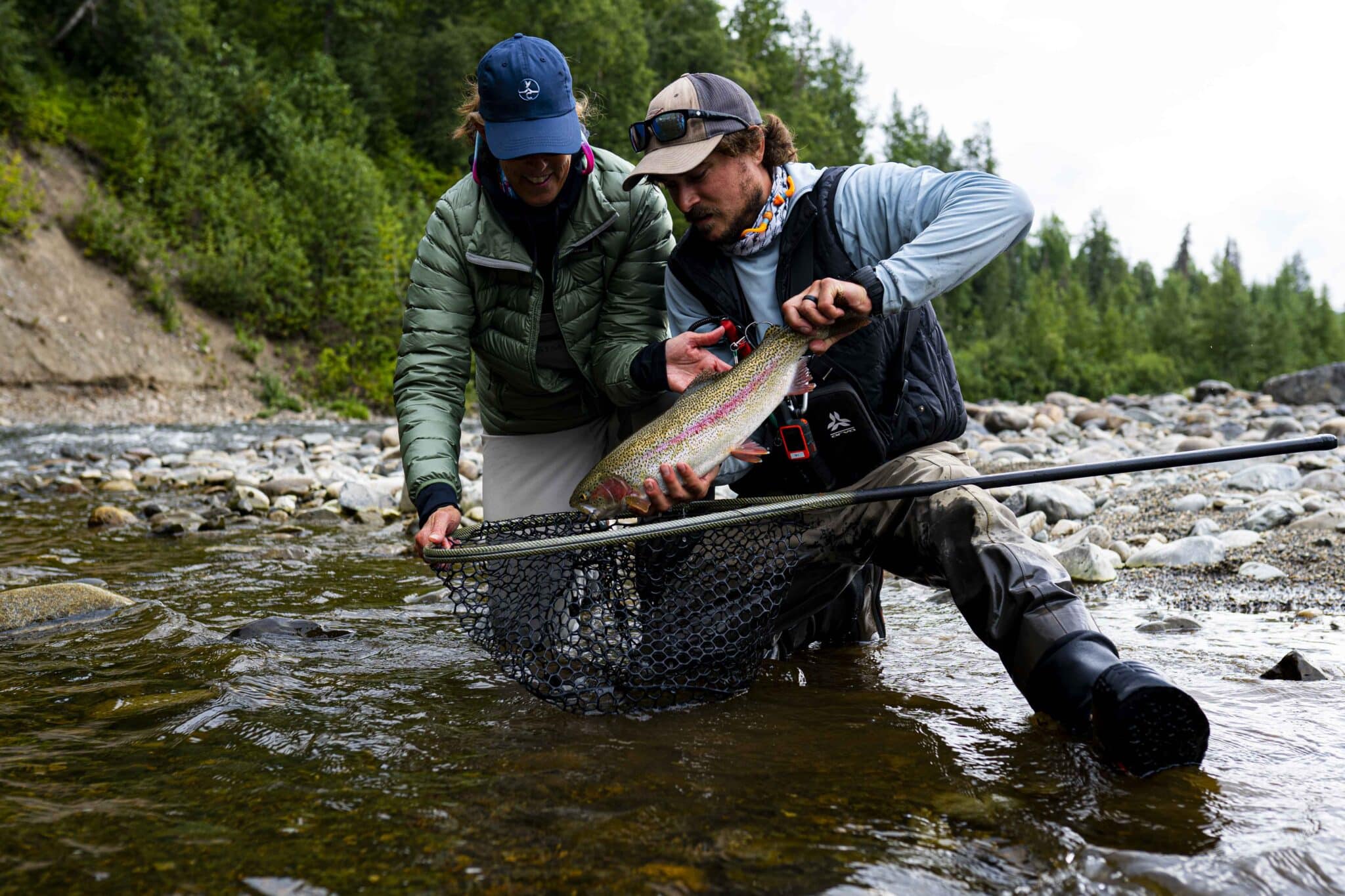 pulling a rainbow trout out of a net on the talchalitna